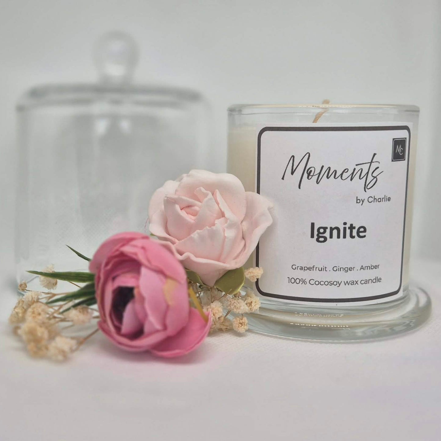 IGNITE – Energy