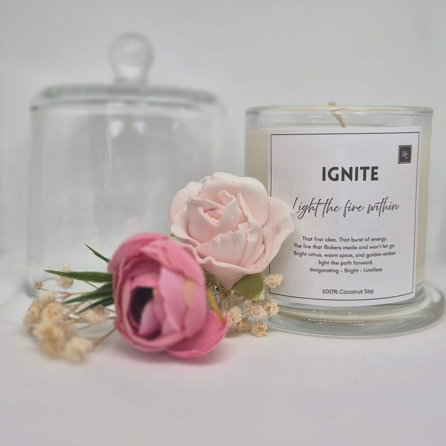 IGNITE – Energy