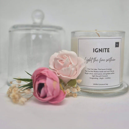 IGNITE – Energy