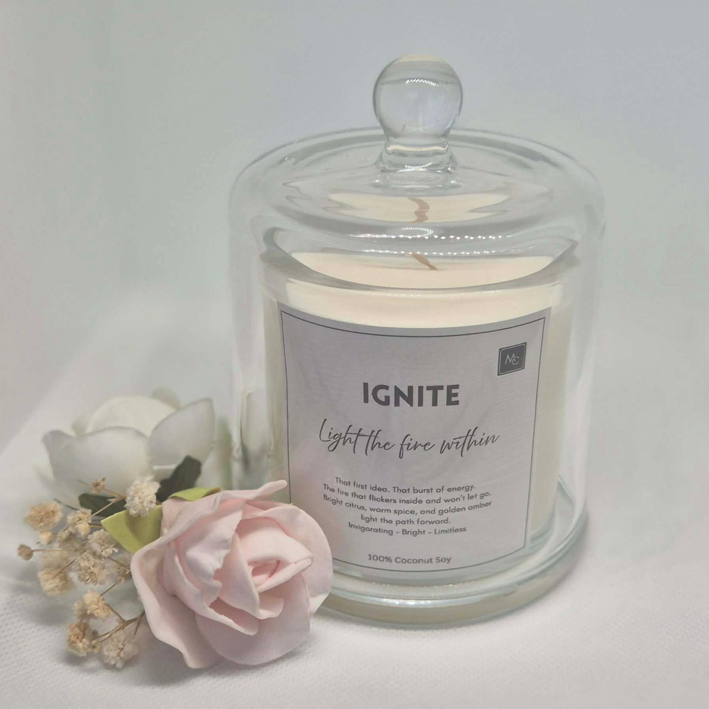 IGNITE – Energy