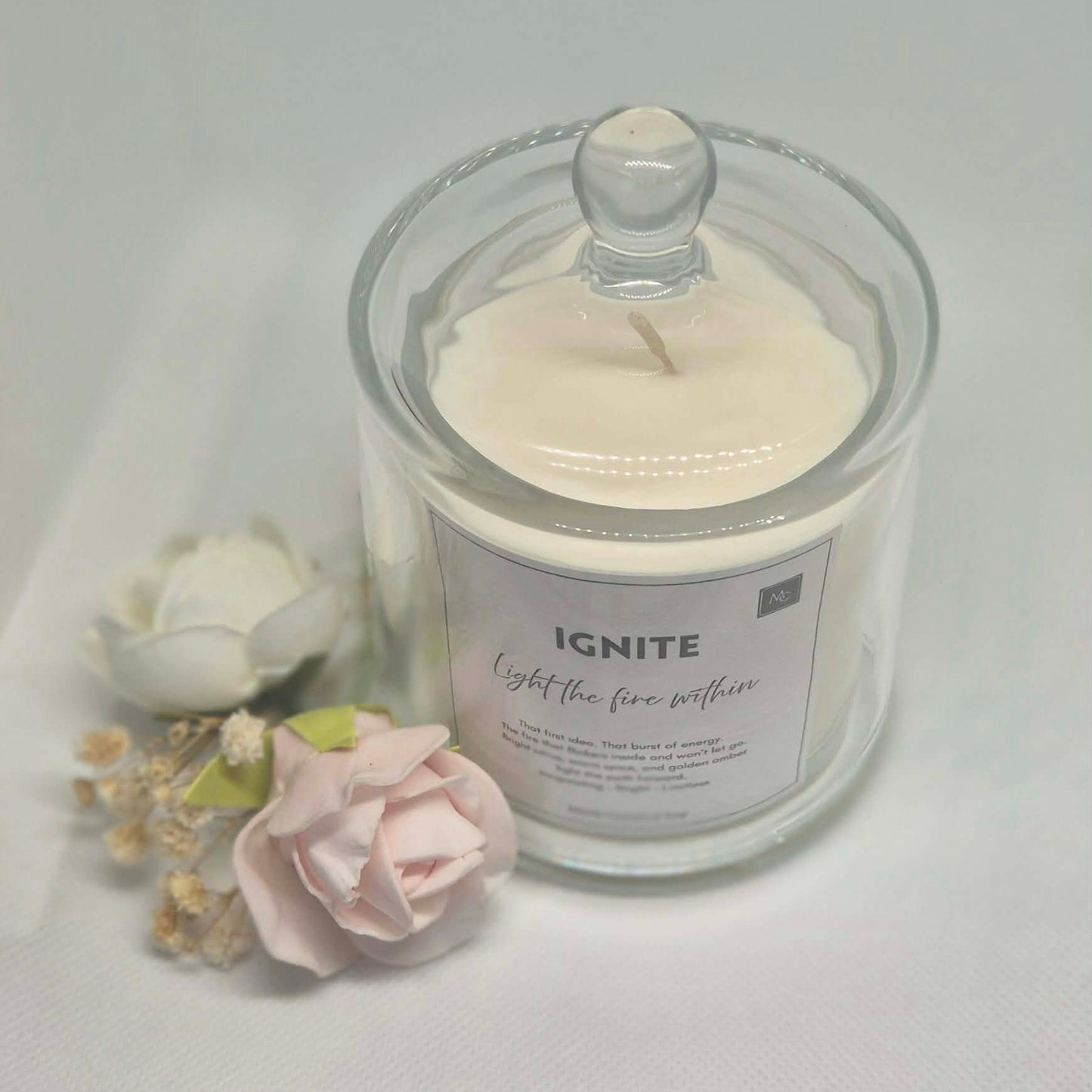 IGNITE – Energy
